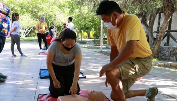cuidadores domiciliarios