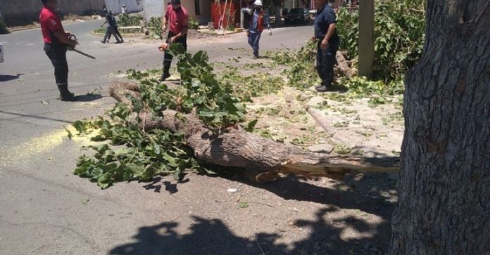 bomberos y policia por camion