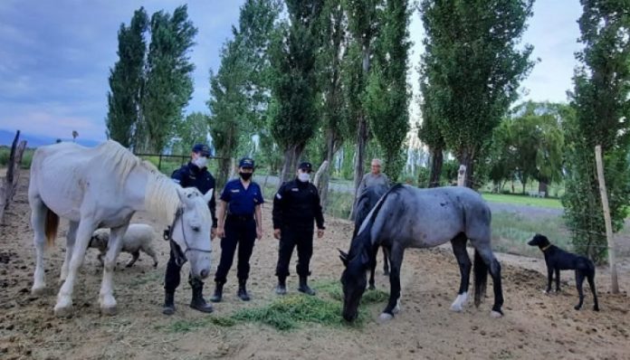 file_67534_main1_800