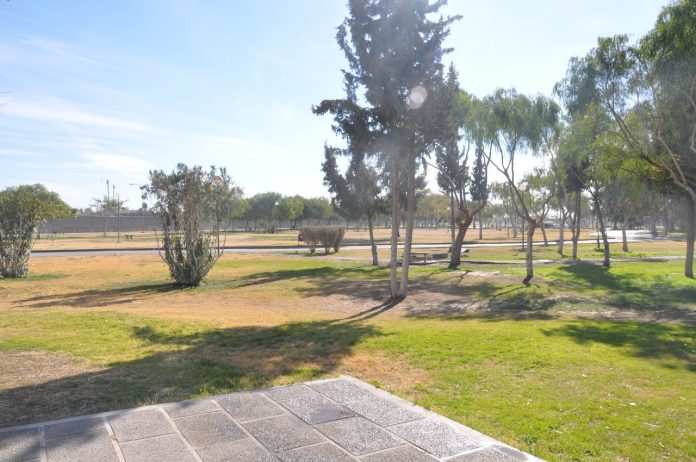 224644323_4180102875415463_8752805339563824070_n