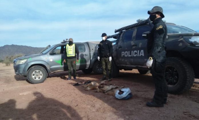 4f620150-1ec7-481b-9019-9d9399924d2b-780x470