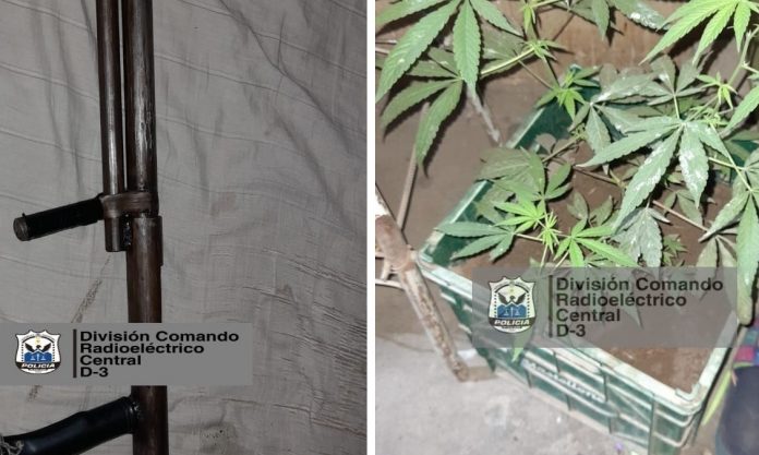 Sin título