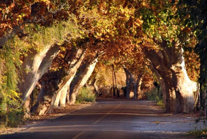 otoño clima