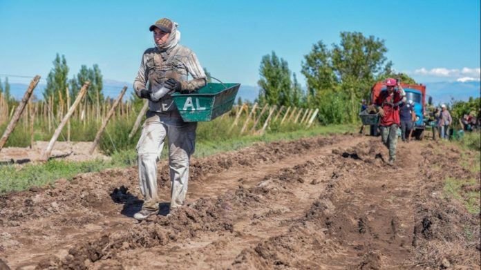 trabajadores vitivinocolas