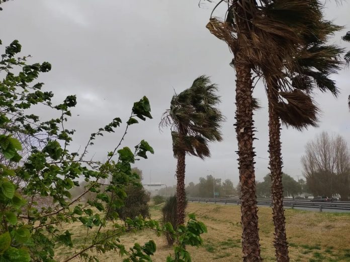 viento sur