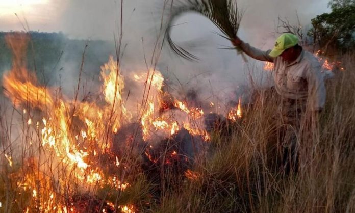 incendios PASTIZALES