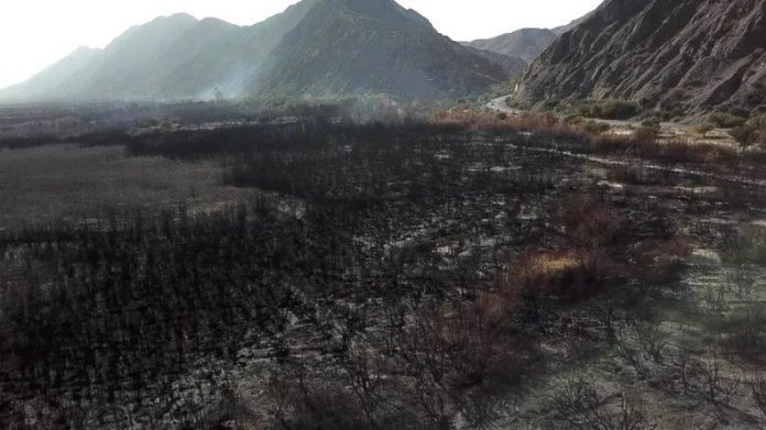 parque sarmiento zonda incendio