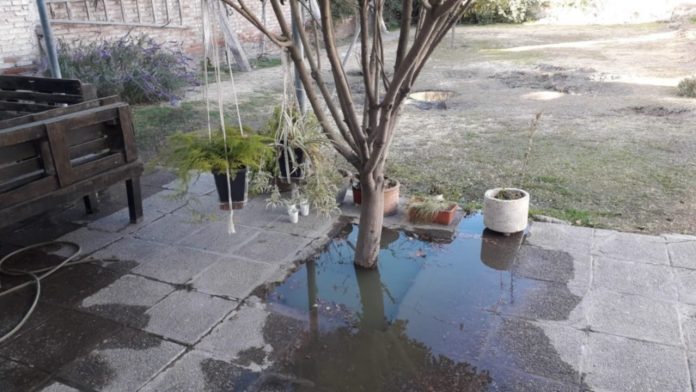 vecinos con liquidos cloacales