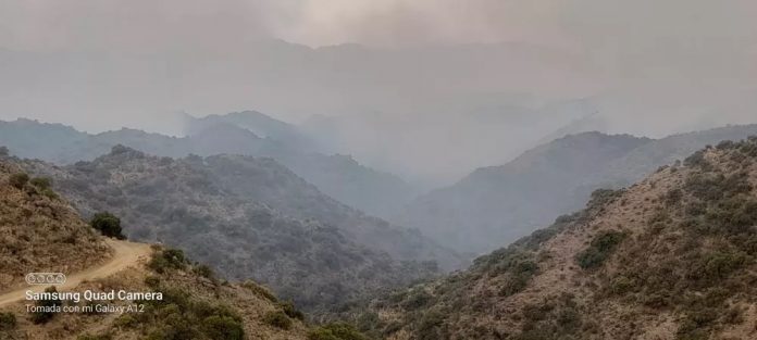 valle ferril