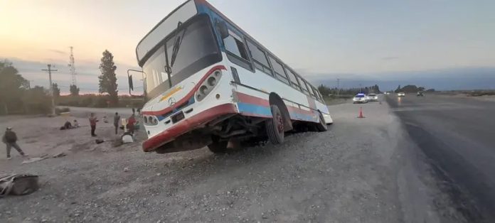 COLECTIVO