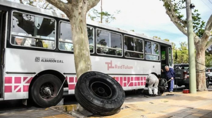 colectivo