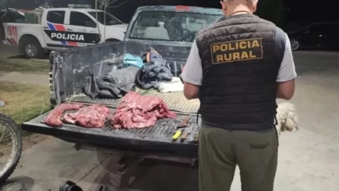 multimedia.normal.94c29e140779caee.bm9ybWFsLndlYnA=