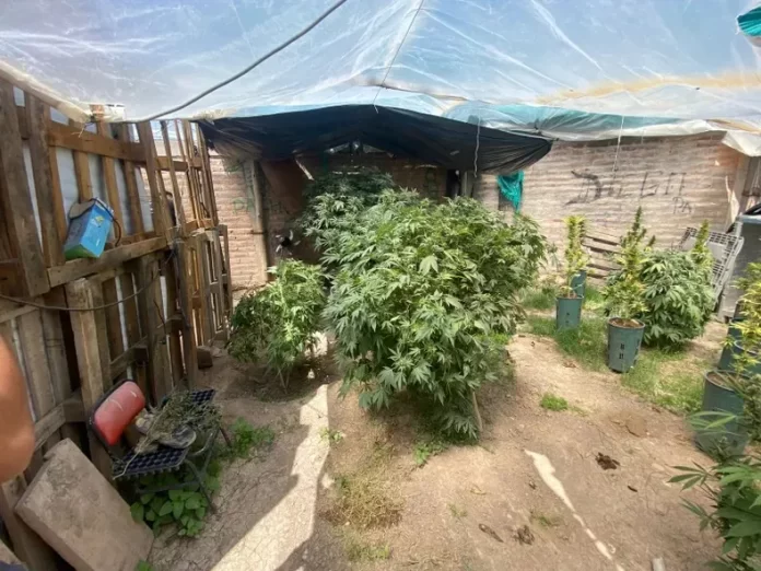 multimedia.normal.b922f338512fa5c5.bm9ybWFsLndlYnA=