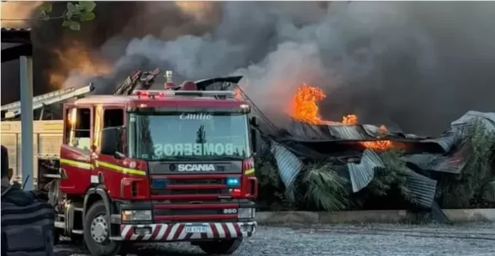 380617w790h409c.webp (1)