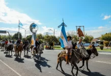 Cabalgata de la Fe: Proteccionistas lanzan un operativo especial para cuidar la salud de los caballos