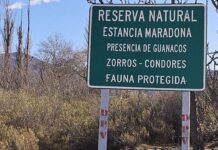 No sabían de él y lo encontraron sin vida en la Estancia Maradona: era el sereno