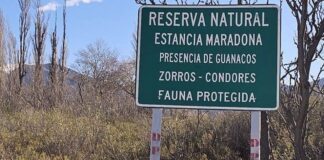 No sabían de él y lo encontraron sin vida en la Estancia Maradona: era el sereno