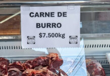 Carne de burro: aseguran que es nutritiva, pero no está habilitada en San Juan