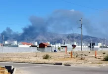 Incendio en la planta de tratamiento: pérdidas millonarias y un operativo que duró toda la noche