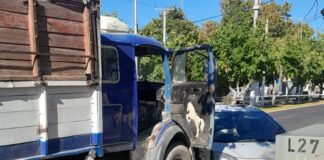 Tragedia en Marquesado: una mujer murió tras un choque entre un camión y un auto