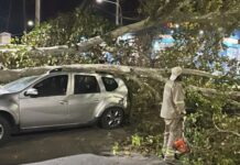 Más de 50 intervenciones por el el viento en San Juan