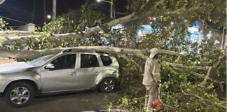 Más de 50 intervenciones por el el viento en San Juan