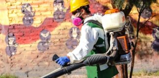 Capital: dónde habrá desinsectación y desratización esta semana Operario realizando tareas de desinsectación en Capital, San Juan