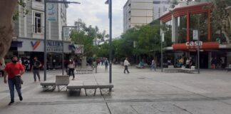 Día del Empleado de Comercio: este lunes no abrirán los locales en San Juan Peatonal Rivadavia en la ciudad de San Juan, imagen de archivo