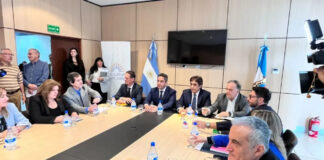 Ruta 40 Sur: los ministros explicaron el crédito en Diputados y precisaron qué tramos paga la CAF y cuál queda a cargo de Nación