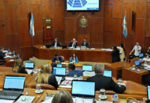 Por unanimidad, Diputados aprobó el crédito de US$160 millones de la CAF para la Ruta 40 Sur
