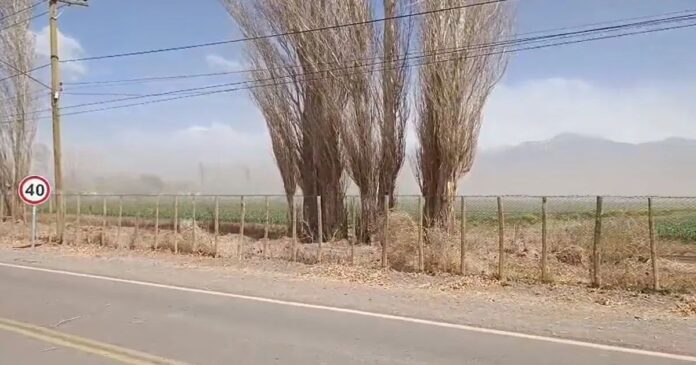 1-viento-zonda-san-juan-alerta-amarilla