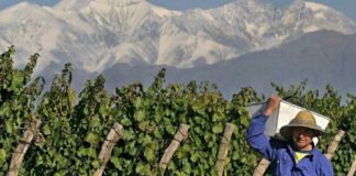 Día del Trabajador Rural: Uatre advierte que la informalidad llega al 70% en el campo sanjuanino