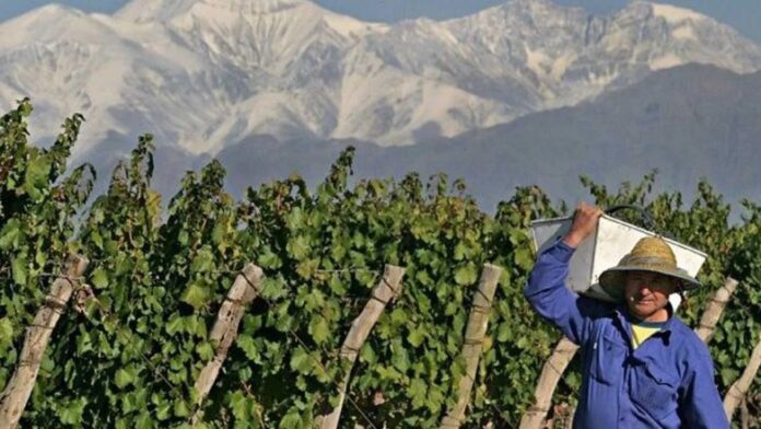 3-trabajador-rural-vina